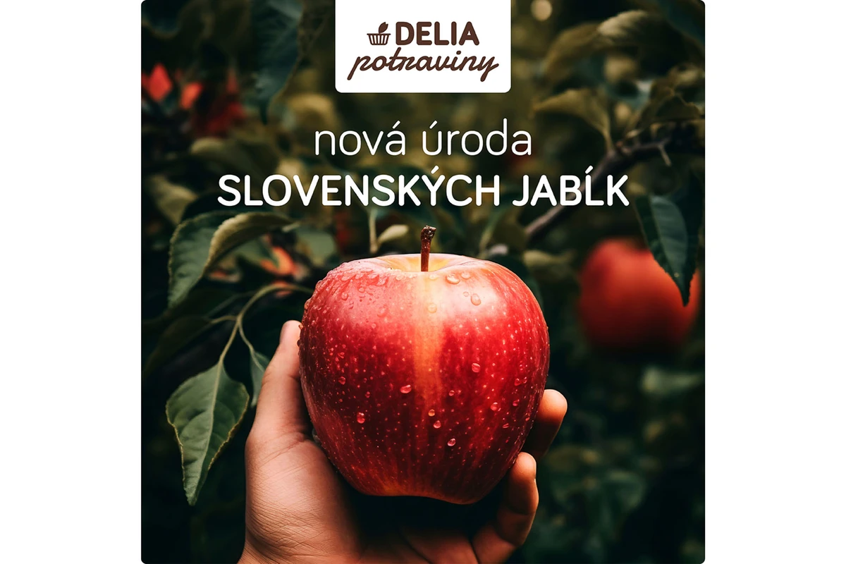 Social media and campaigns