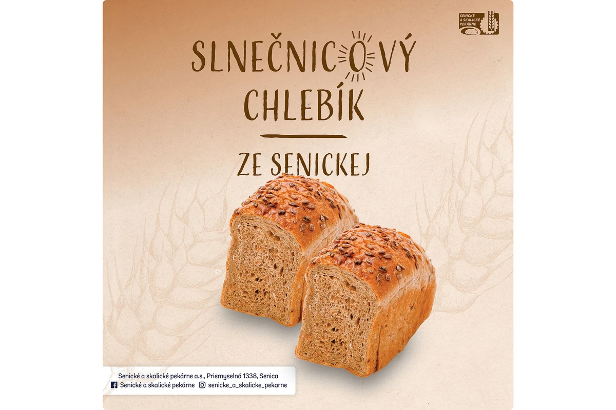 Social media and campaigns